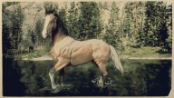 RDR2 Horses AmericanStandardbred SilverTailBuckskinAmericanStandardbred 2