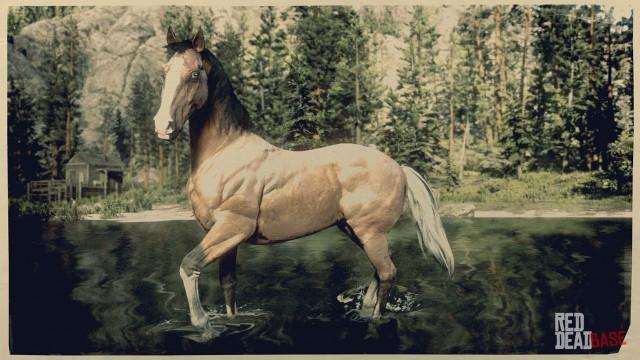 Silver Tail Buckskin American Standardbred - RDR2 & Online Horse Stats & Locations