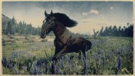 RDR2 Horses AndalusianHorse DarkBayAndalusianHorse 2