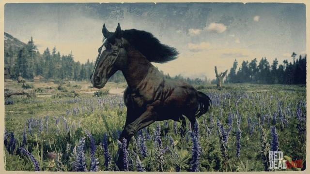 RDR2 Horses AndalusianHorse DarkBayAndalusianHorse 2