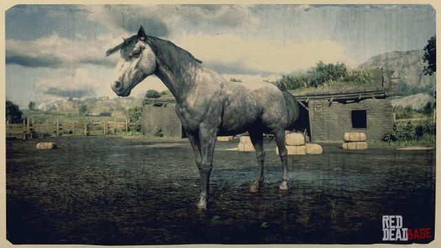 Andalusian Horse - RDR2 Horse Breed