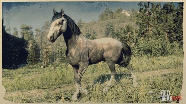 RDR2 Horse - Rose Grey Andalusian Horse
