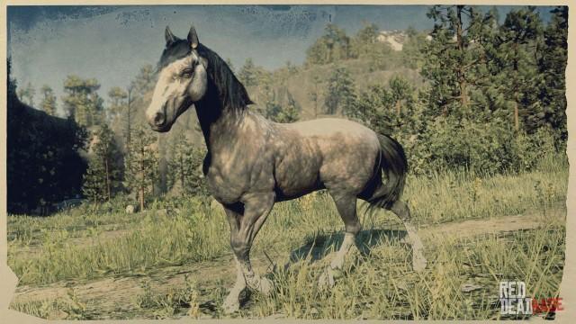 Rose Grey Andalusian Horse - RDR2 & Online Horse Stats & Locations Rose Grey Andalusian Horse - RDR2 & Online Horse Stats & Locations