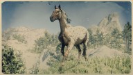 RDR2 Horses Appaloosa BrownLeopardAppaloosa 1