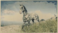 RDR2 Horses Appaloosa LeopardAppaloosa 1