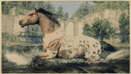 RDR2 Horses Appaloosa LeopardBlanketAppaloosa 1