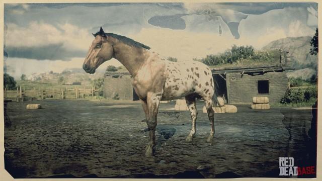 Leopard Blanket Appaloosa - RDR2 Horse