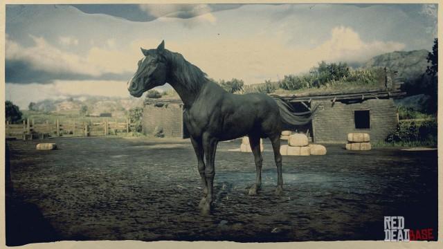 Black Arabian Horse - RDR2 Horse