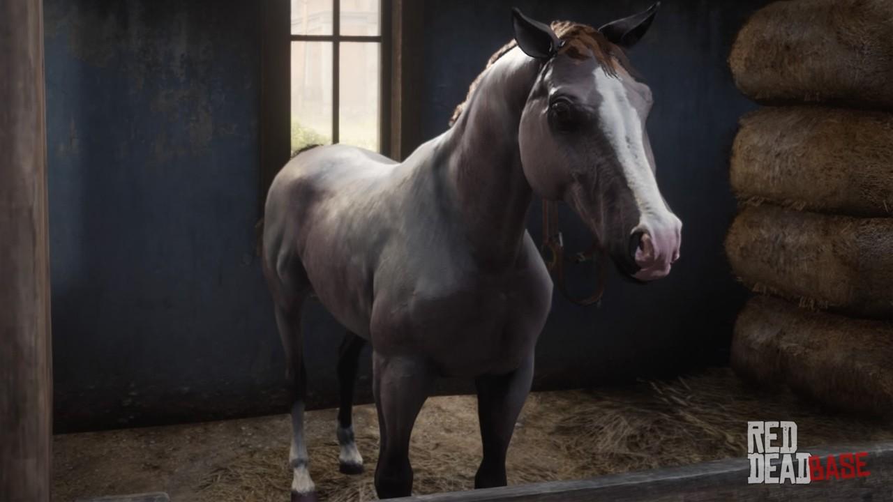 Rose Bay Arabian Horse | RDR2 & Online Stats &