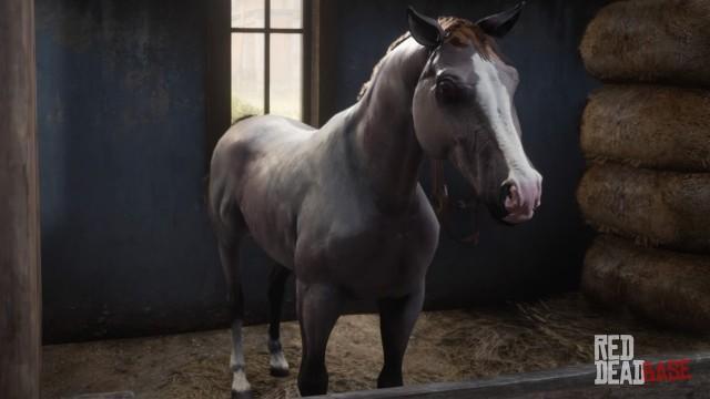 Rose Grey Bay Arabian Horse - RDR2 Horse