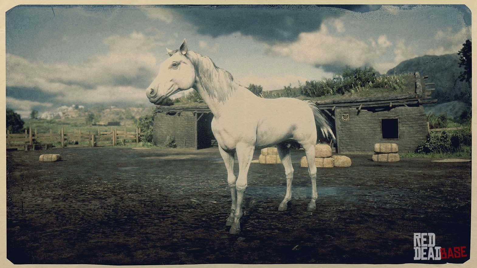 Vandret Adept forholdet Arabian Horse | RDR2 Horse Breeds Coats, Locations & Stats