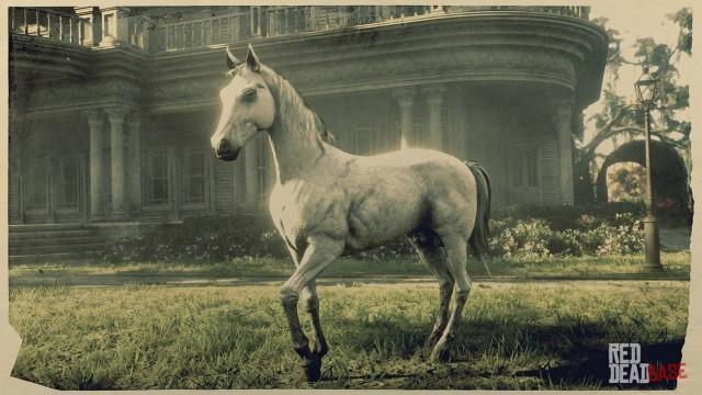 White Arabian Horse - RDR2 Horse