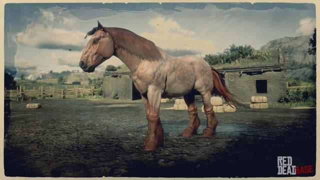 RDR2 Horse - Strawberry Roan Ardennes