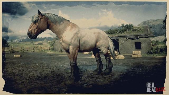 Bay Roan Ardennes - RDR2 Horse