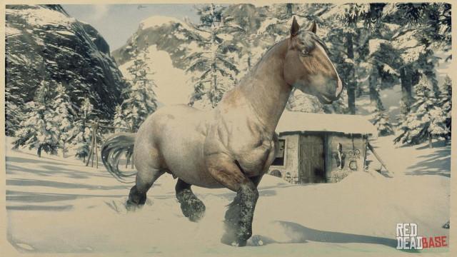 Bay Roan Ardennes | RDR2 & Online Horse Stats & Locations