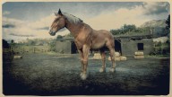 RDR2 Horses BelgianHorse BlondChestnutBelgianHorse 1