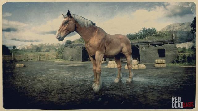 RDR2 Horse - Blond Chestnut Belgian Horse