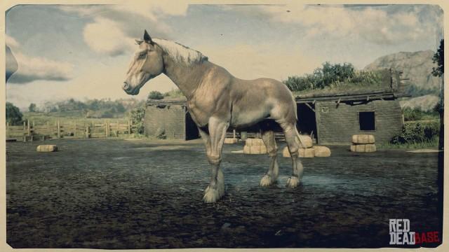 RDR2 Horse - Mealy Chestnut Belgian Horse