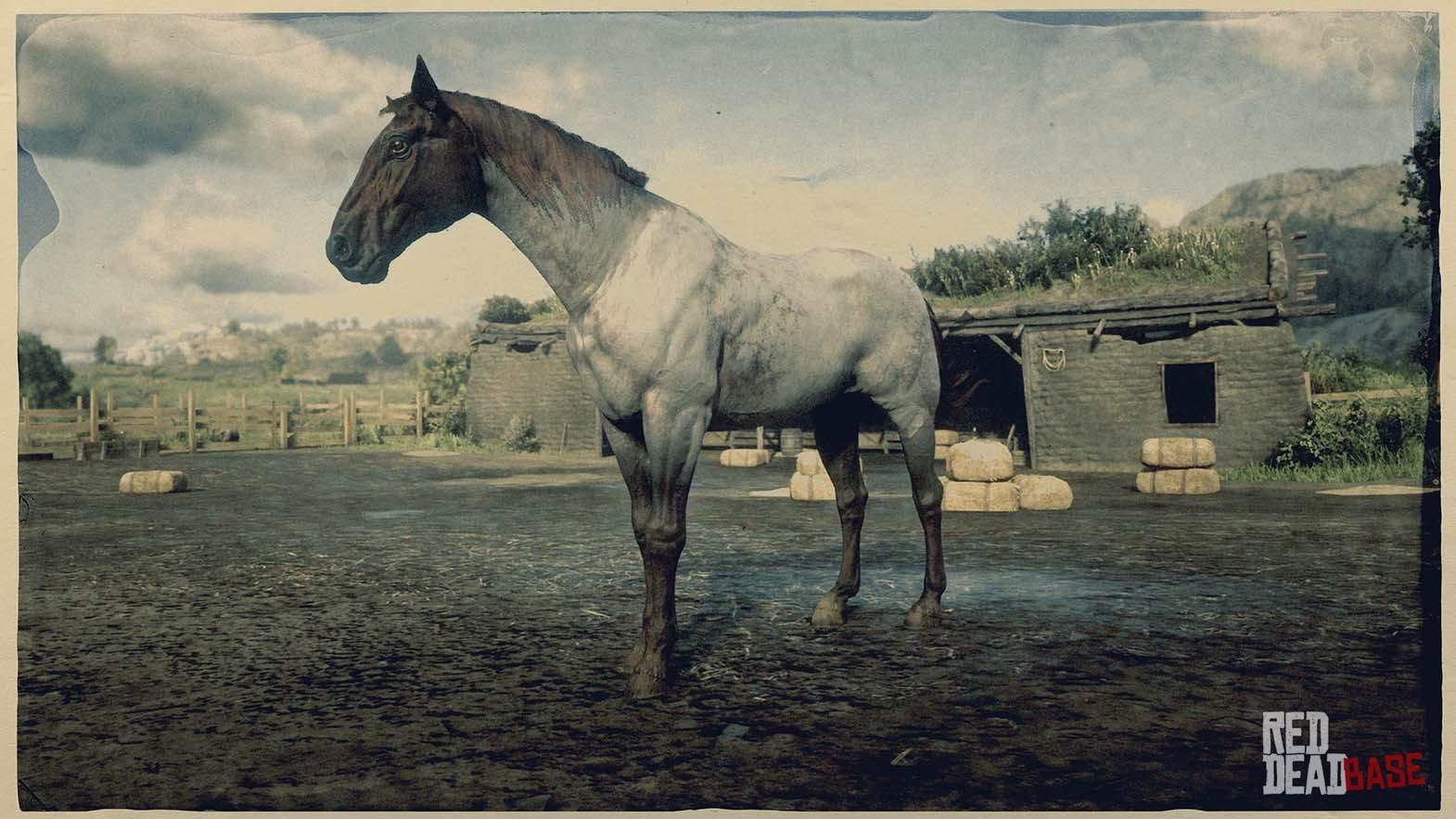 Red Dead Redemption 2 - Cavalo Warmblood Holandês Ruano Chocolate RDR2