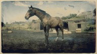 RDR2 Horses DutchWarmblood SootyBuckskinDutchWarmblood 1