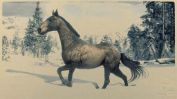 RDR2 Horses DutchWarmblood SootyBuckskinDutchWarmblood 2
