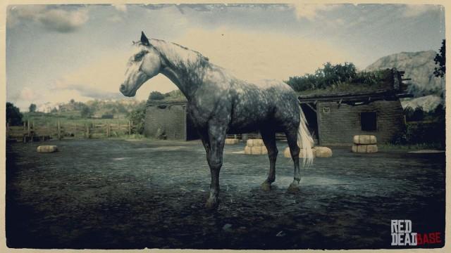 RDR2 Horse - Dapple Dark Grey Hungarian Halfbred