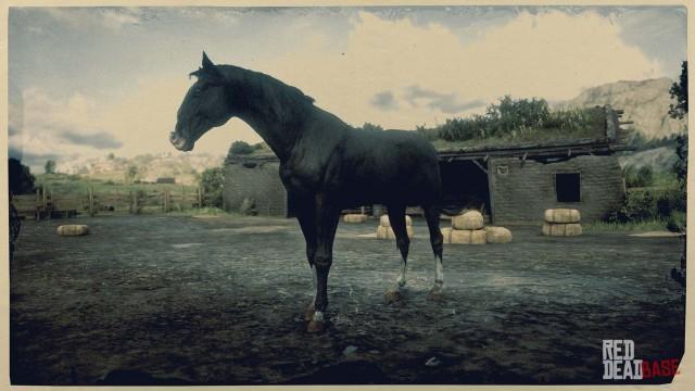 RDR2 Horse - Black Kentucky Saddler