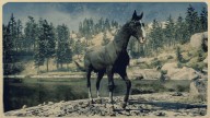 RDR2 Horses KentuckySaddler BlackKentuckySaddler 2