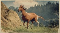 RDR2 Horses KentuckySaddler ChestnutPintoKentuckySaddler 1