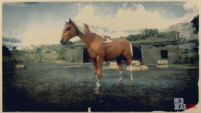 RDR2 Horse - Chestnut Pinto Kentucky Saddler