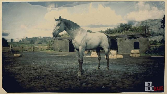 Grey Kentucky Saddler - RDR2 Horse