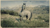 RDR2 Horses KentuckySaddler GreyKentuckySaddler 2