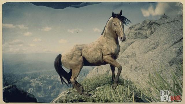 RDR2 Horses MissouriFoxTrotter AmberChampagneMissouriFox Trotter 1