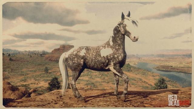 RDR2 Horses MissouriFoxTrotter SilverDapplePintoMissouriFox Trotter 1
