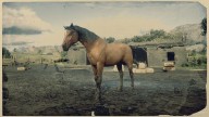 RDR2 Horses MorganHorse BayMorganHorse 1