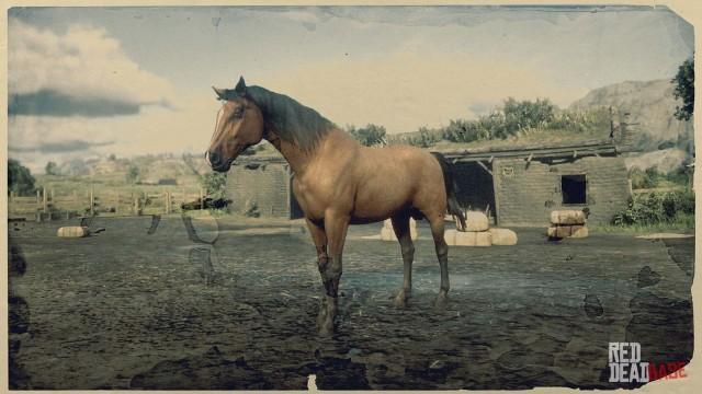 Bay Morgan Horse - RDR2 Horse