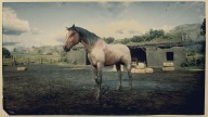 RDR2 Horses MorganHorse BayRoanMorganHorse 2