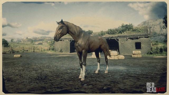 RDR2 Horse - Flaxen Chestnut Morgan Horse