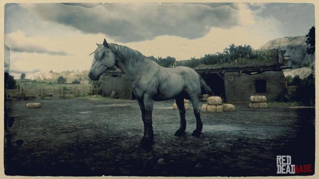RDR2 Horse - Grullo Dun Mustang