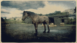 RDR2 Horses Mustang TigerStripedBayMustang 2