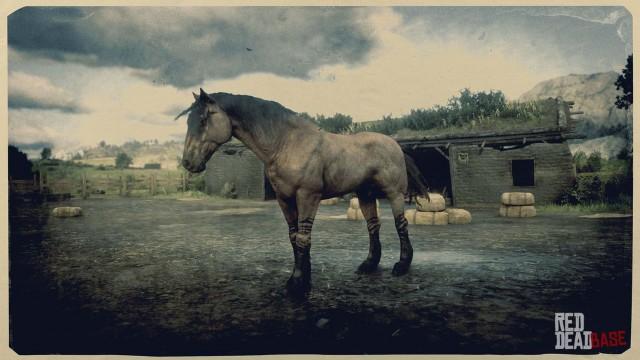 RDR2 Horses Mustang TigerStripedBayMustang 2