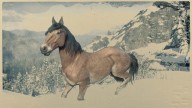 RDR2 Horses Mustang WildBayMustang 1