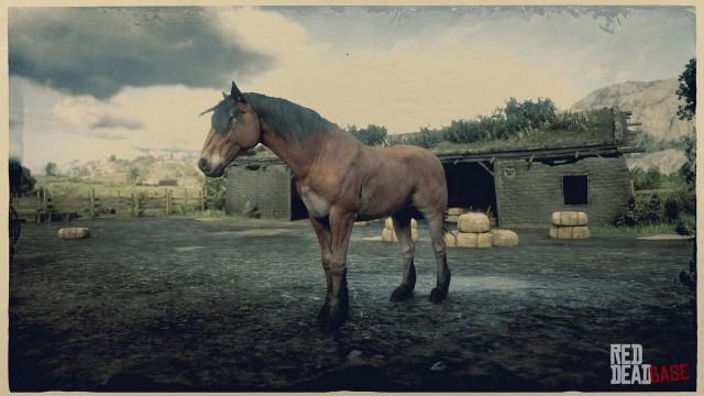 Mustang - RDR2 Horse Breed