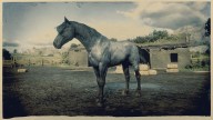 RDR2 Horses NokotaHorse BlueRoanNokotaHorse 1