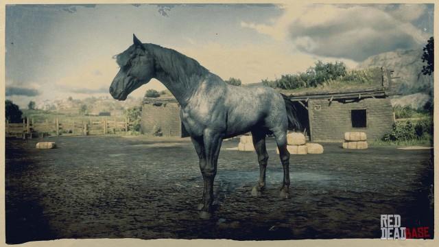 RDR2 Horse - Blue Roan Nokota Horse