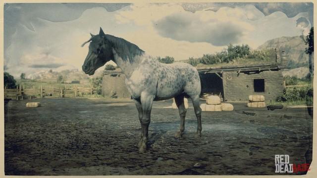 RDR2 Horse - Reverse Dapple Roan Nokota Horse