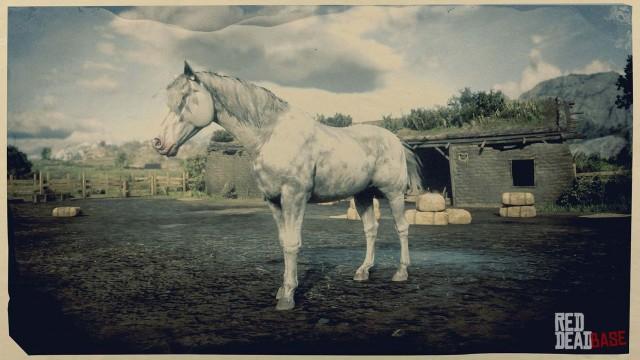RDR2 Horse - White Roan Nokota Horse