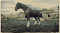 RDR2 Horses ShireHorse DarkBayShireHorse 1