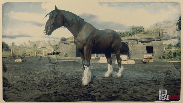 Ardennes  RDR2 Horse Breeds Coats, Locations & Stats