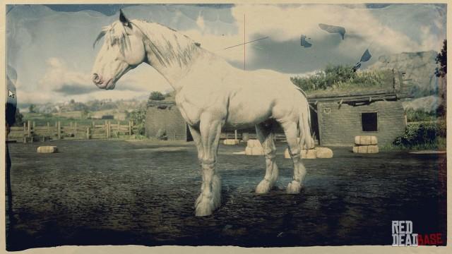 RDR2 Horse - Light Grey Shire Horse
